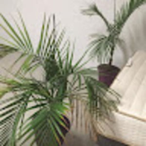 Meet your Posher, Marcus